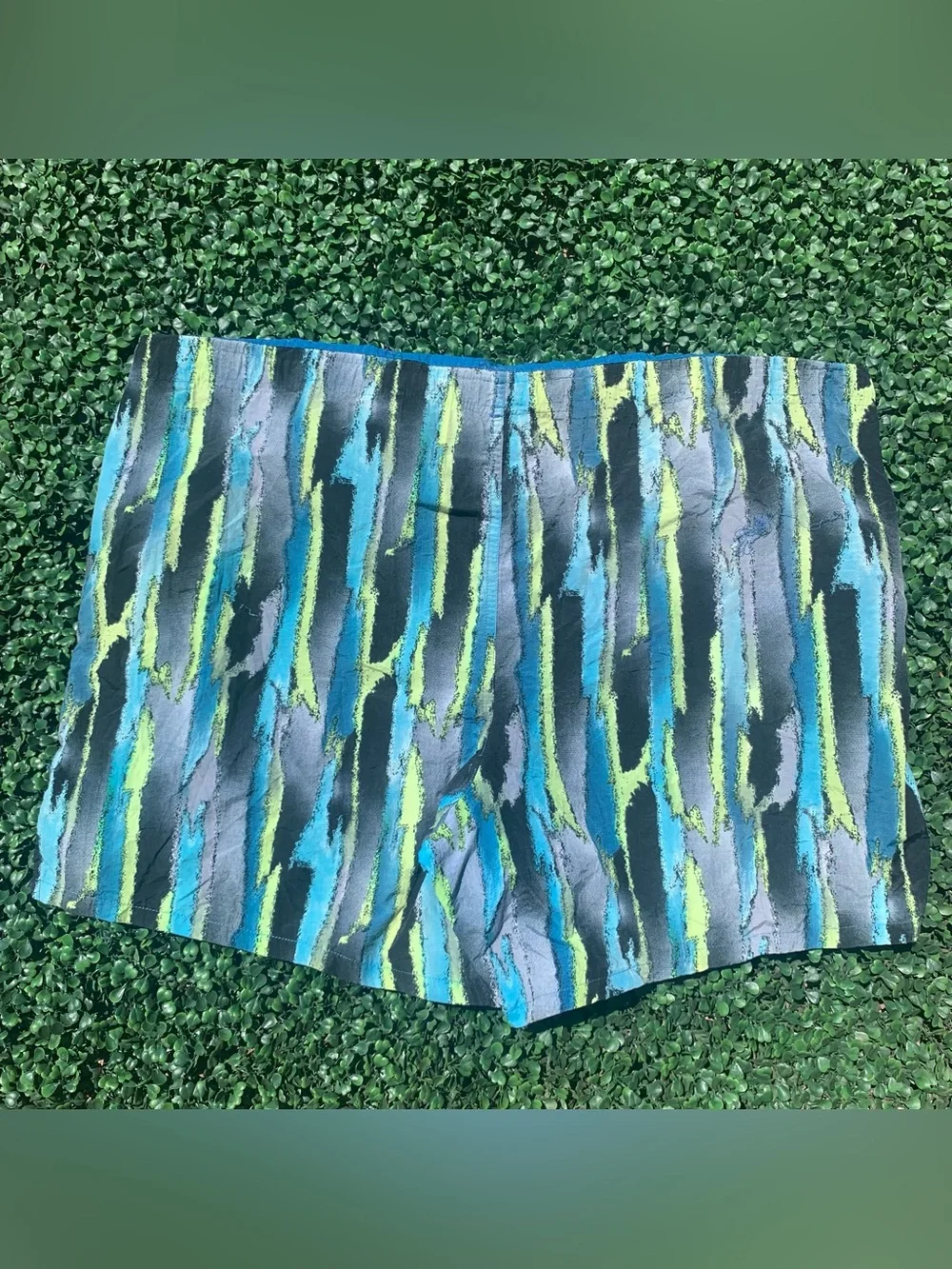 Speedo vintage blue